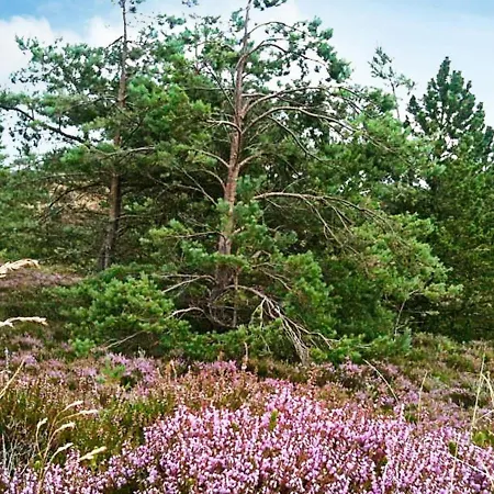 8 Person Holiday In R M Bolilmark